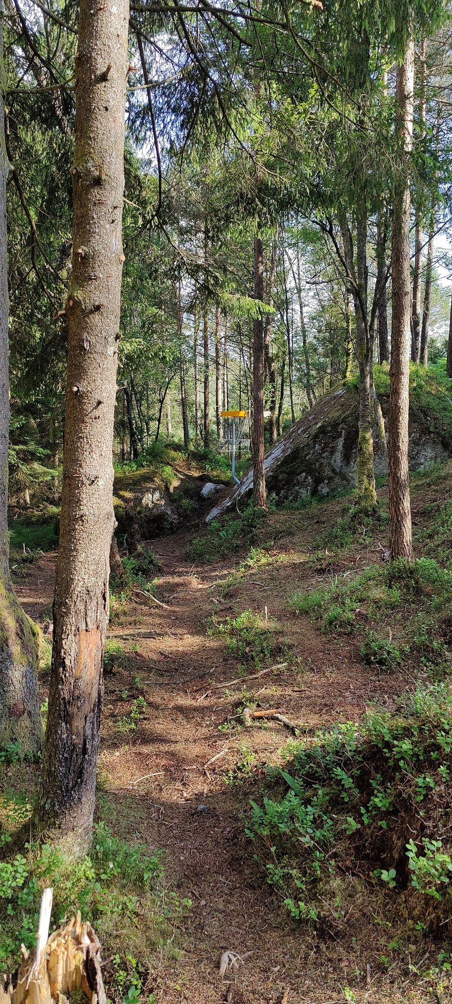 Basket hole 6