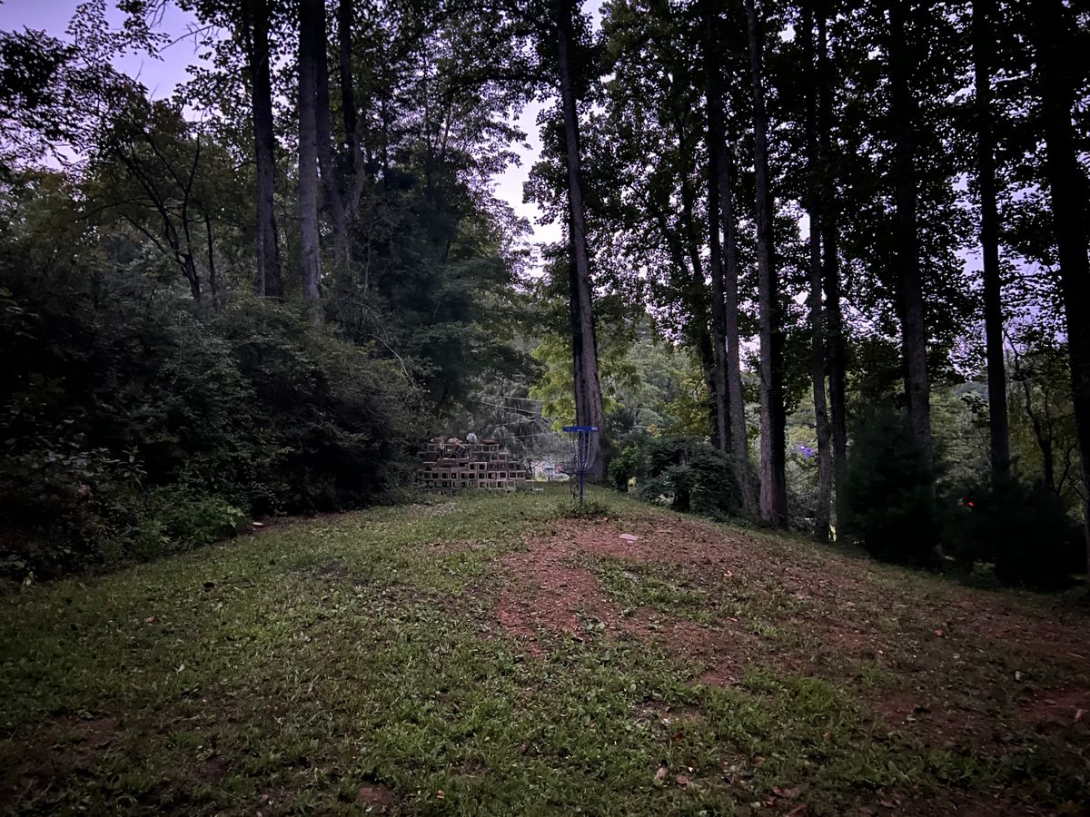 Hole 9 basket.