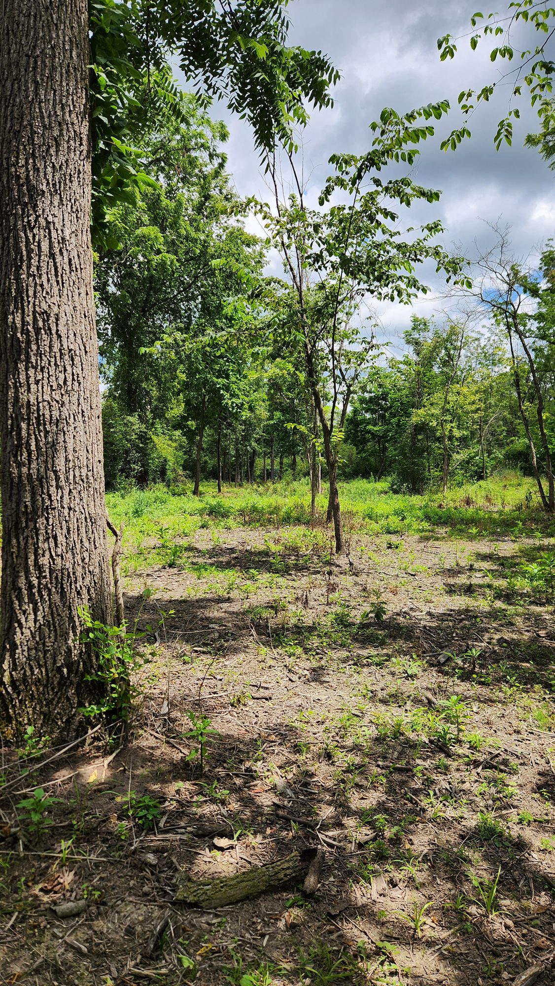 Hole 5 view from tee