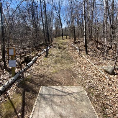 Hole 6 tee