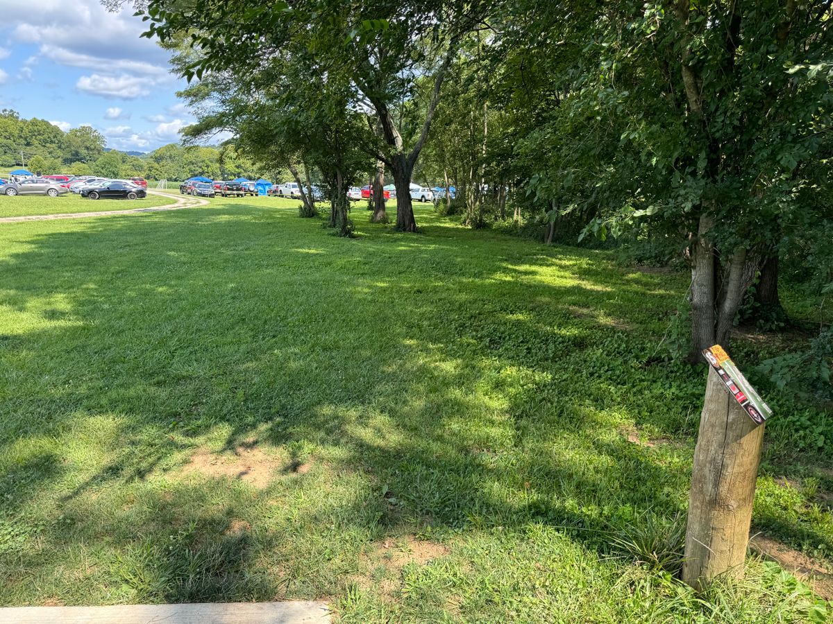 Hole 15 Tee