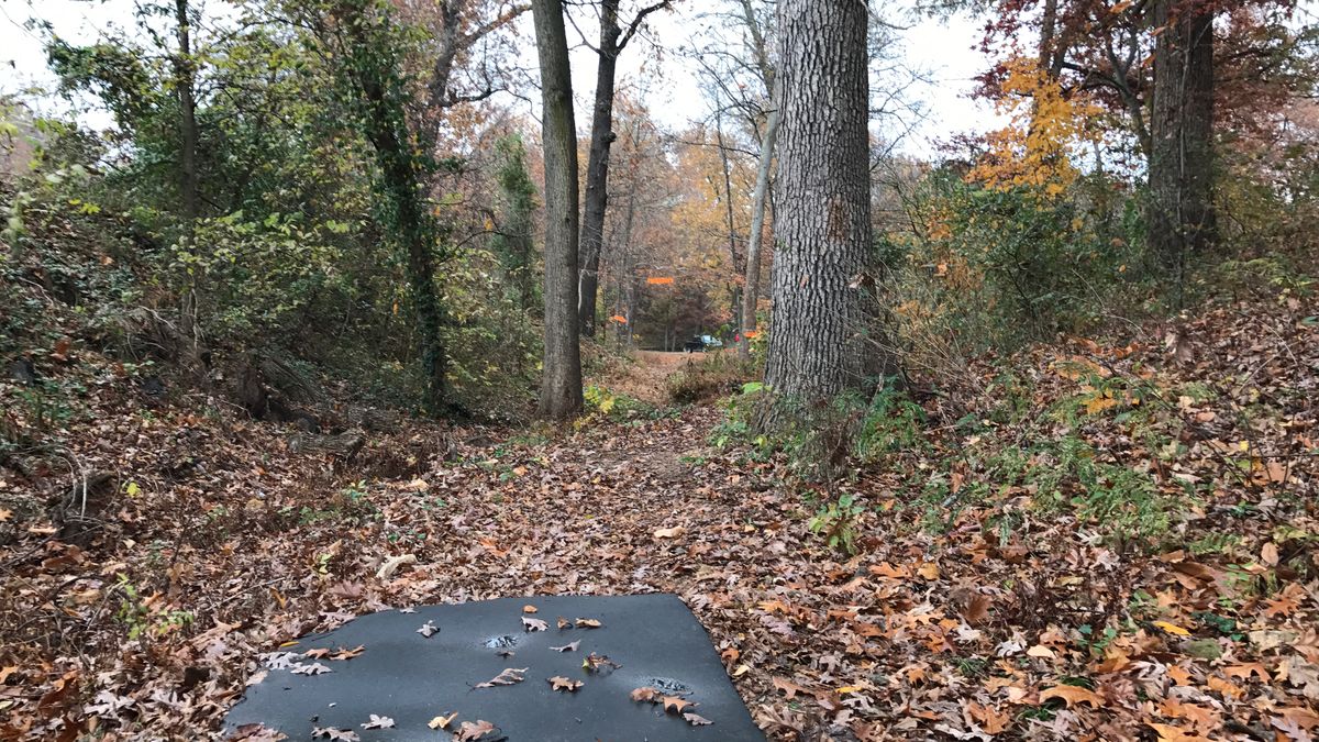 Hole 5