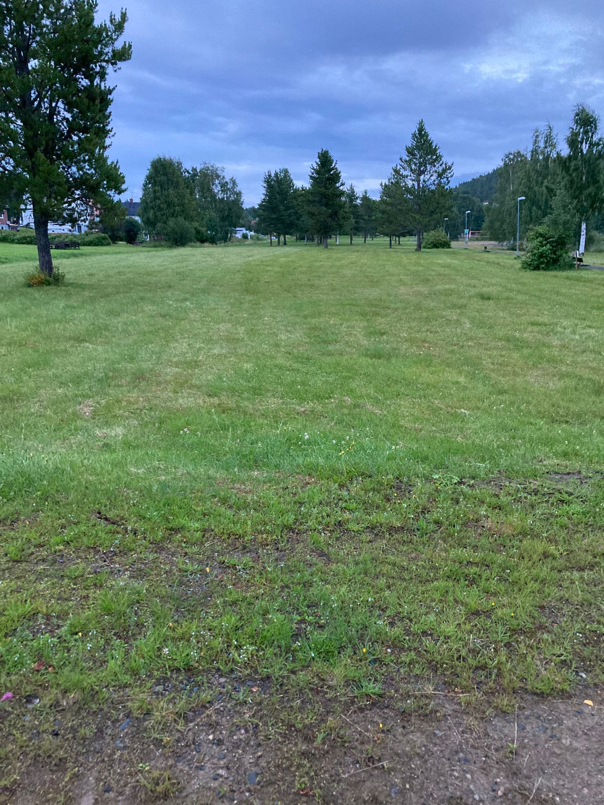 Tee 5