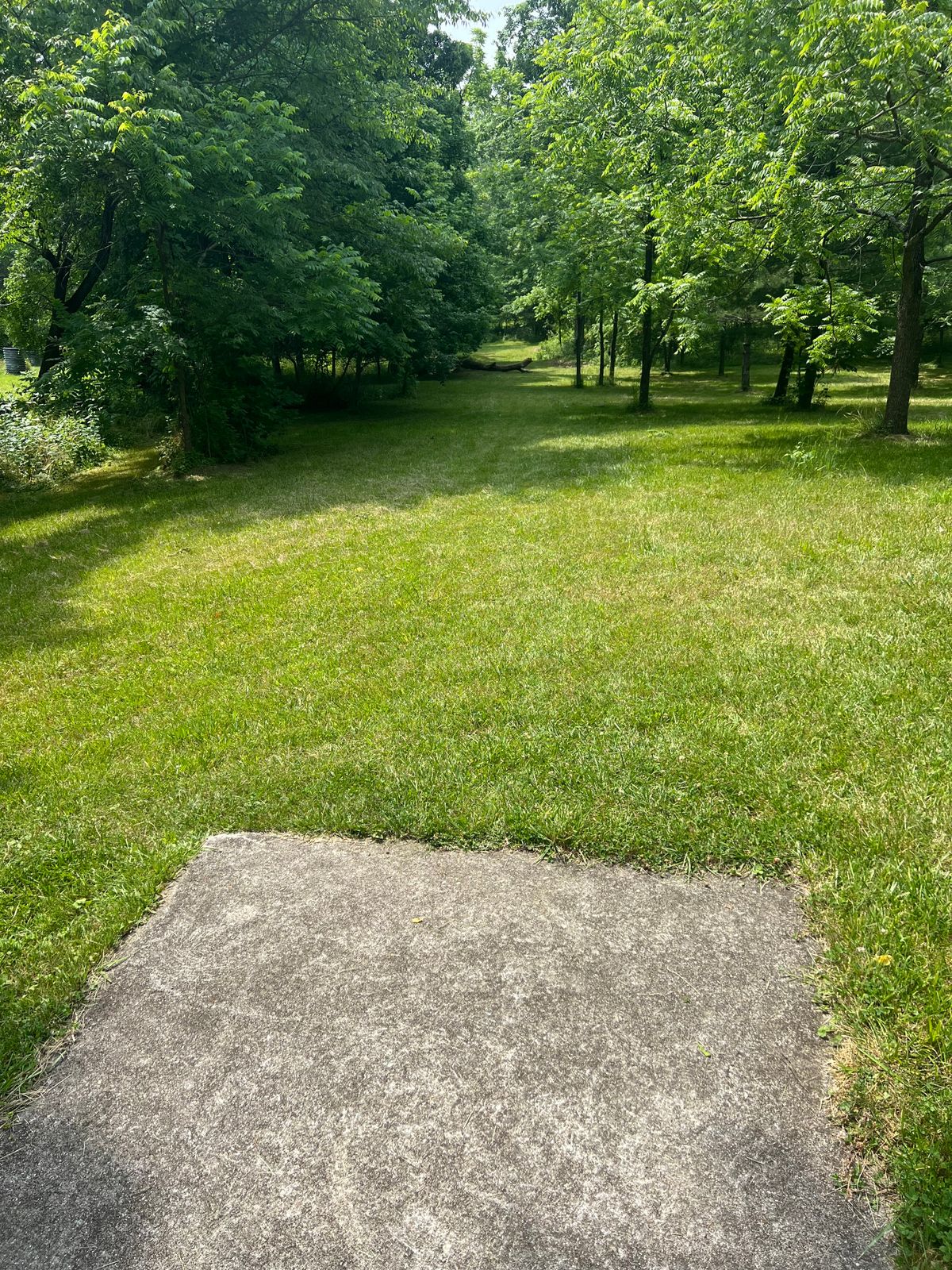 Hole 13, Down a slight downhill grade, definition of tunnel shot with basket down to the left. Beware of creek to the right side of the green by the basket.