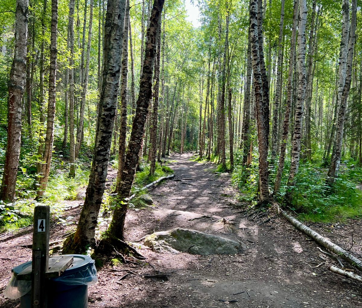 From tee box of Hole 4