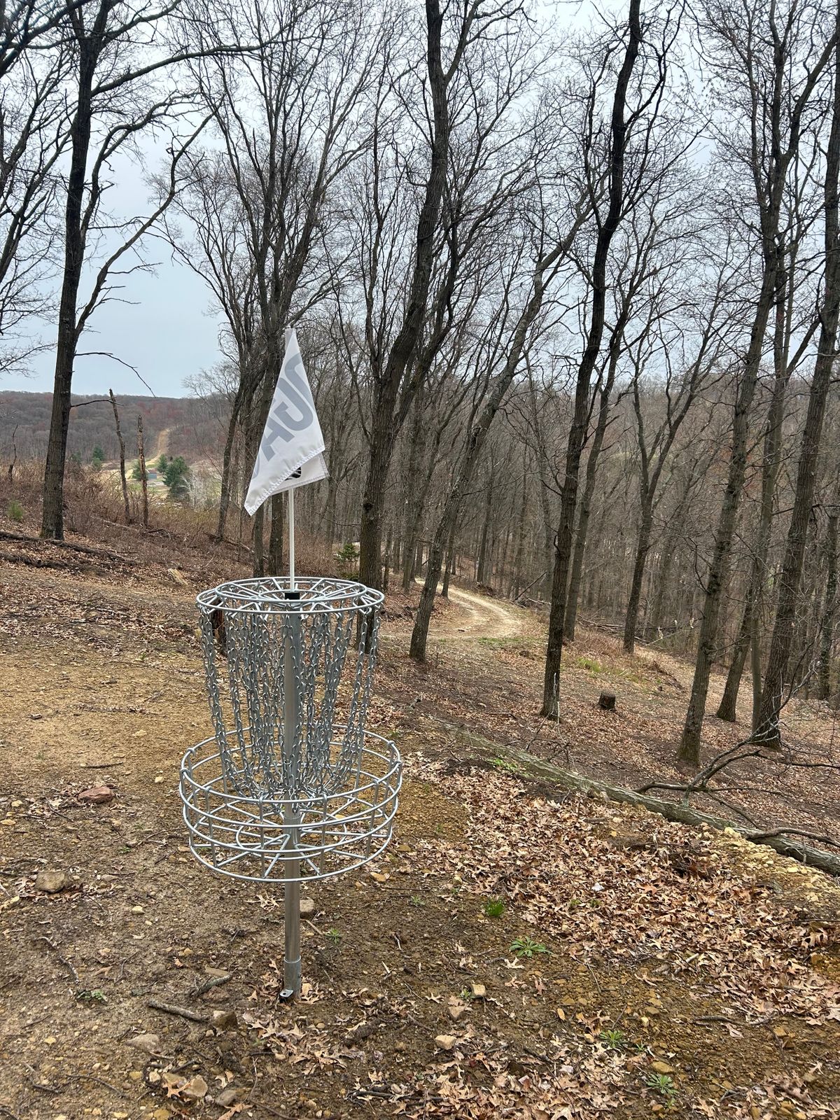 Hole 3 looking back toward the tee/fairway