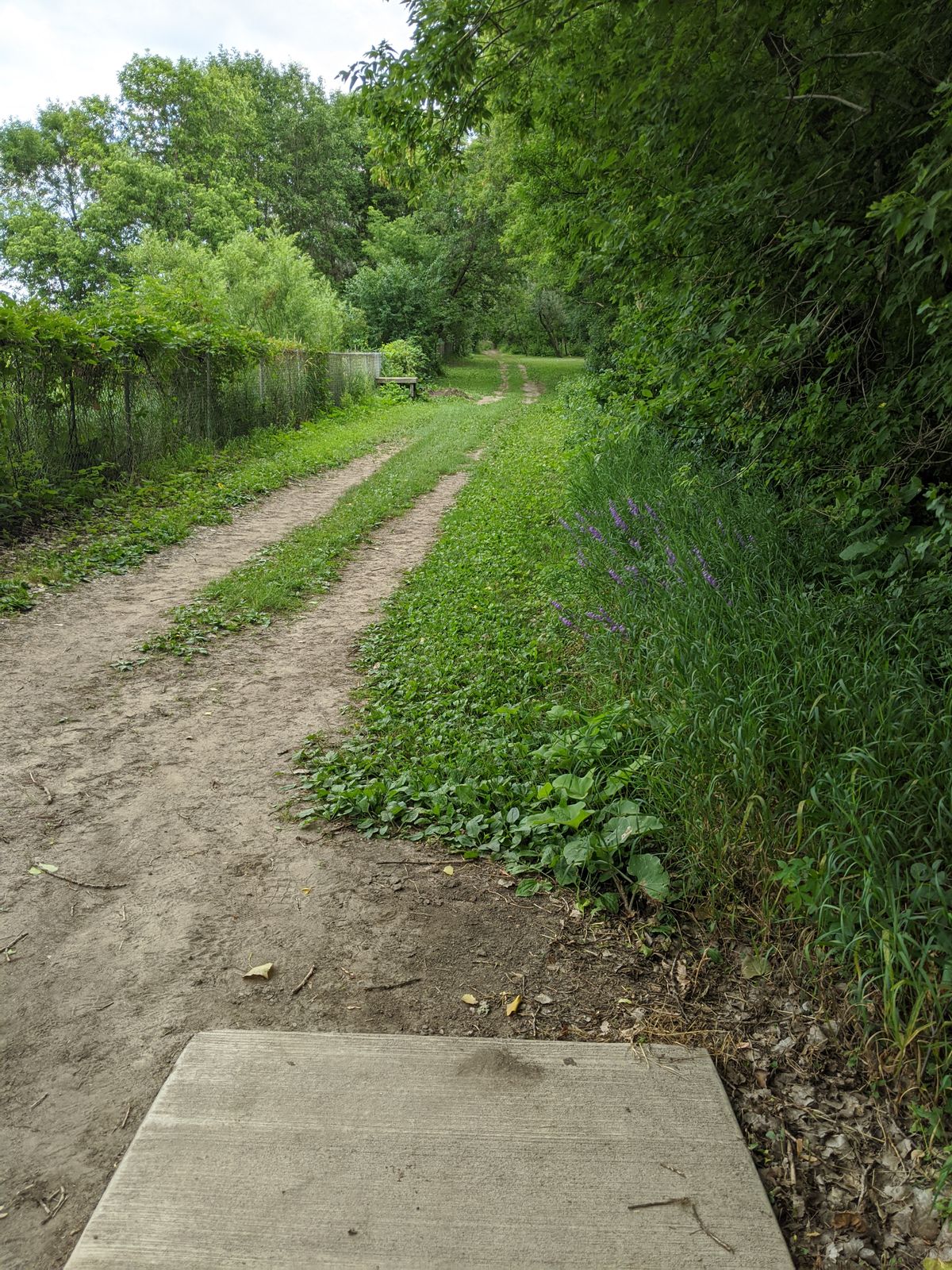 Hole 13