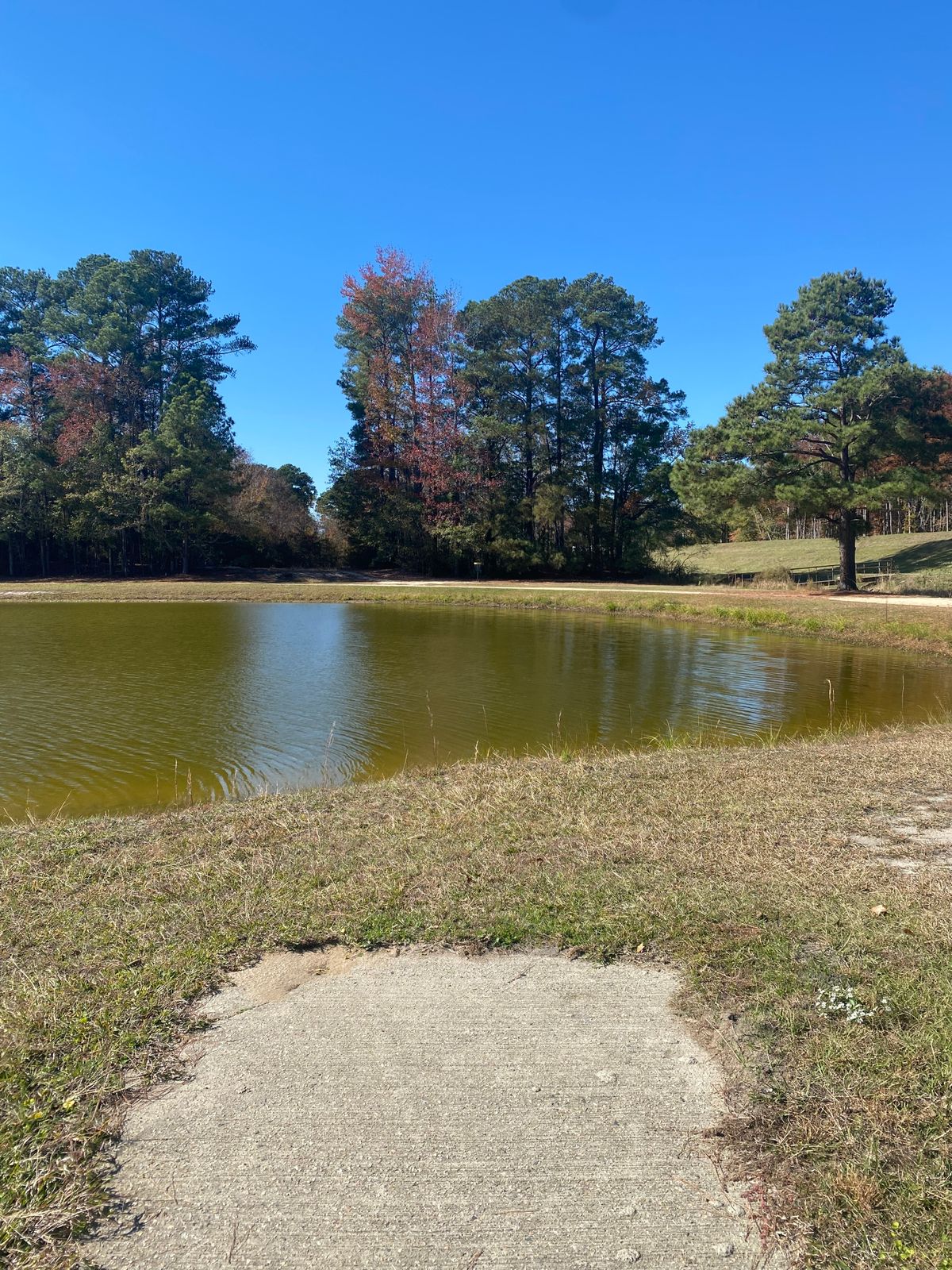 Hole 10 Green Tee