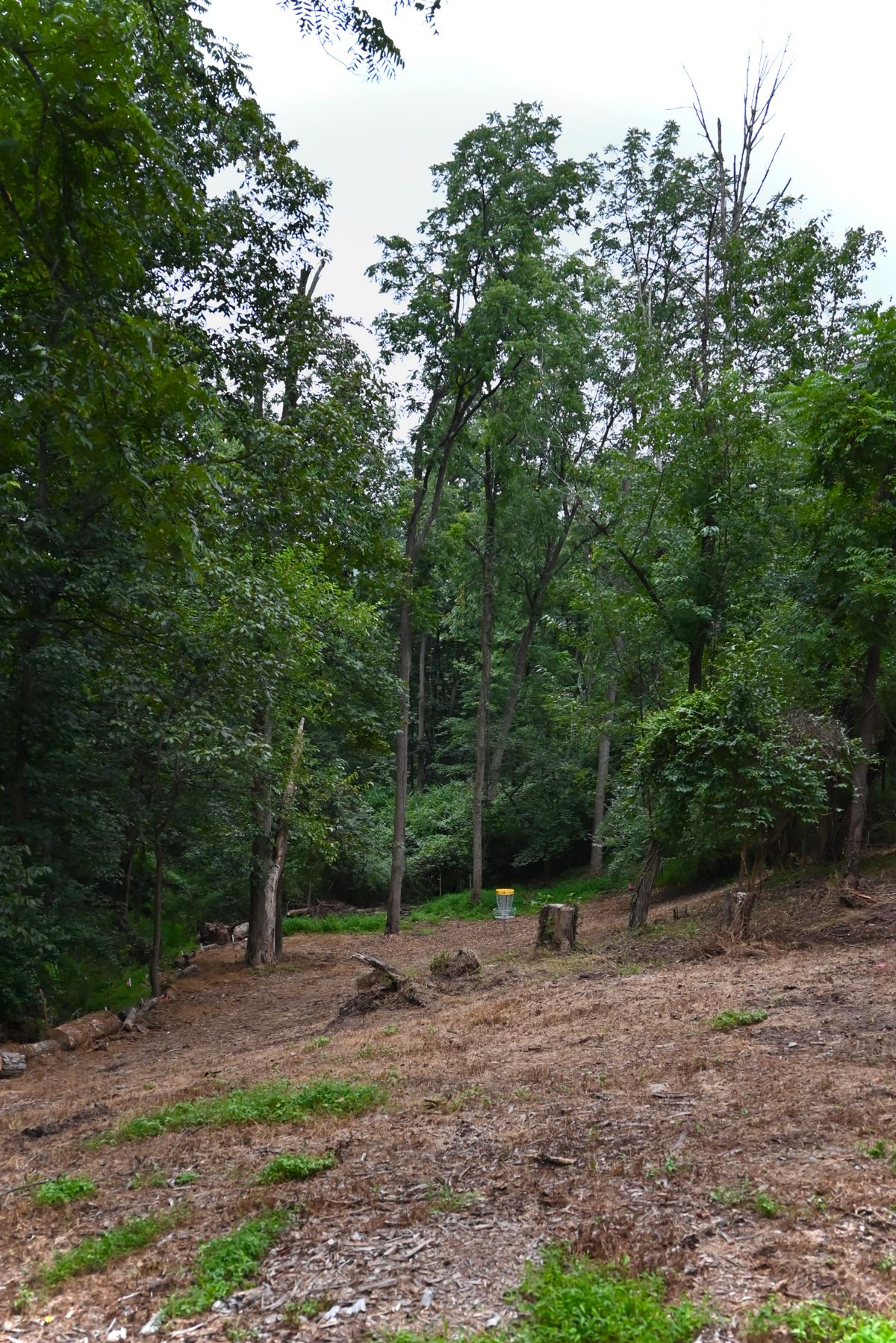 Hole 13's green