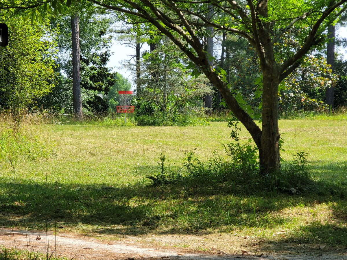 Freshly cut red hole 8.