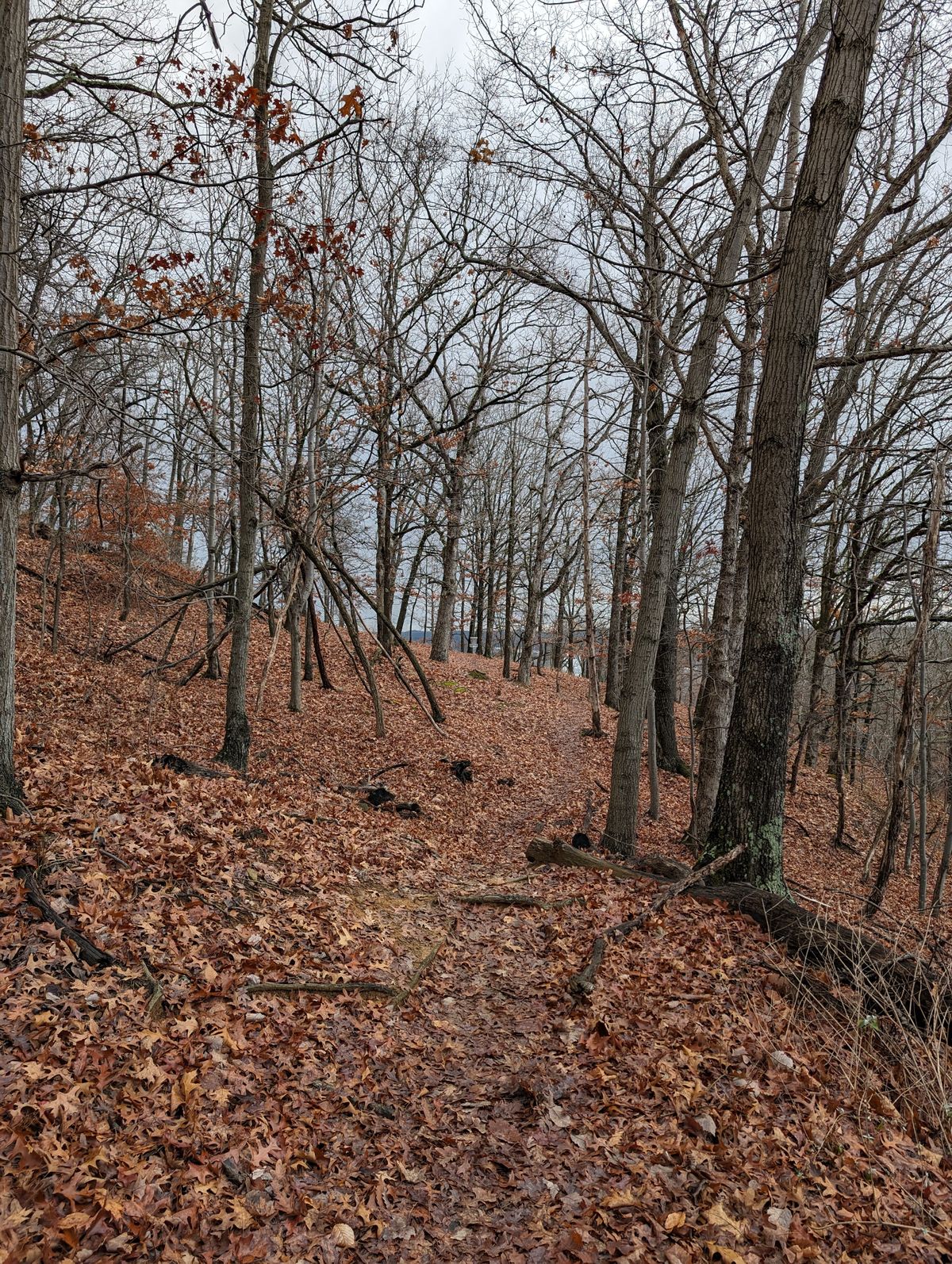 Hole 12 from the pad