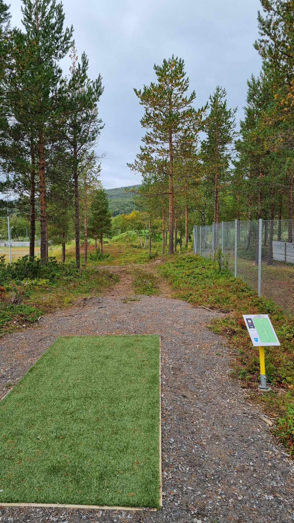 Tee 9