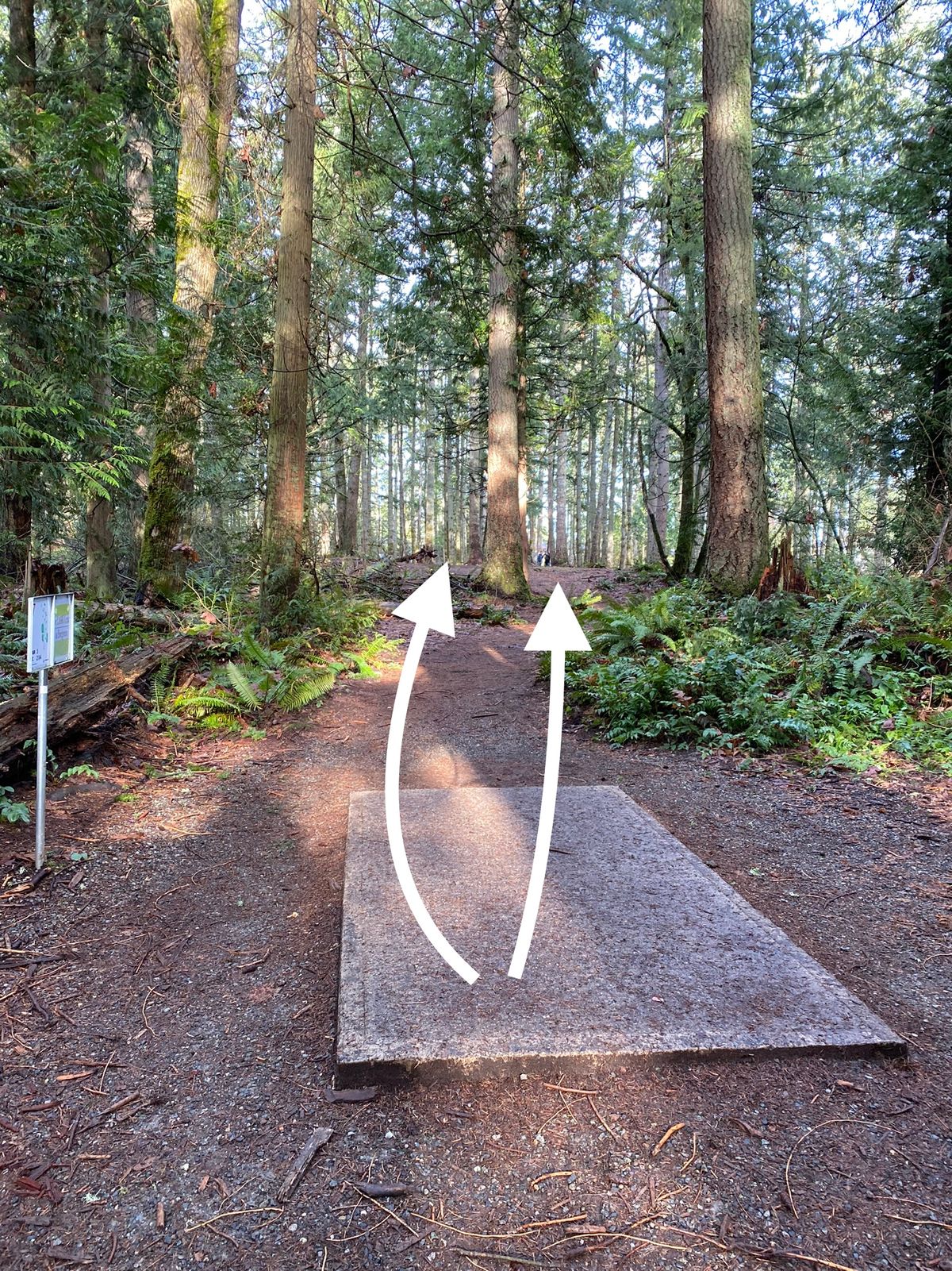 Hole 7.