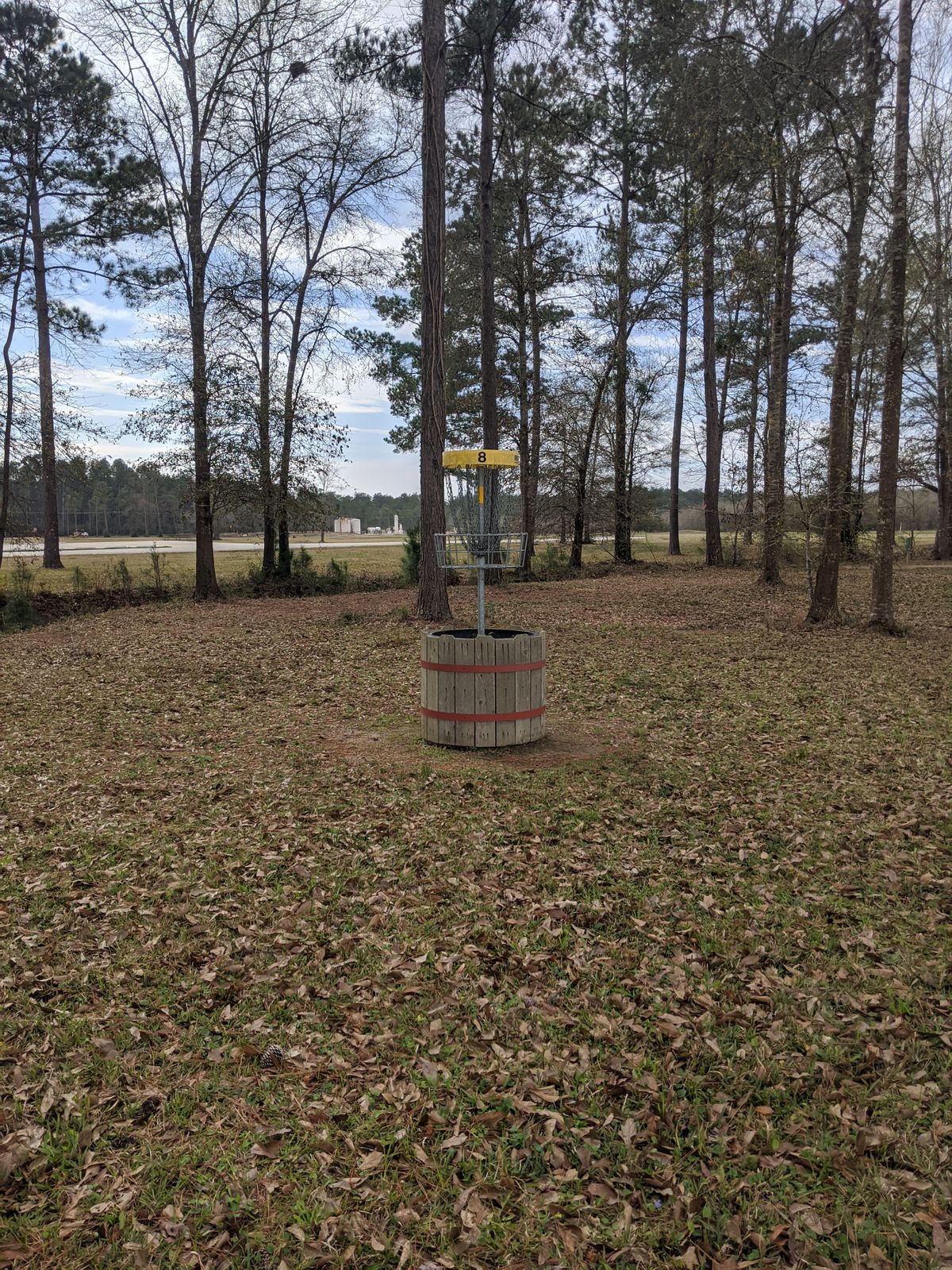 Hole 8 Basket
