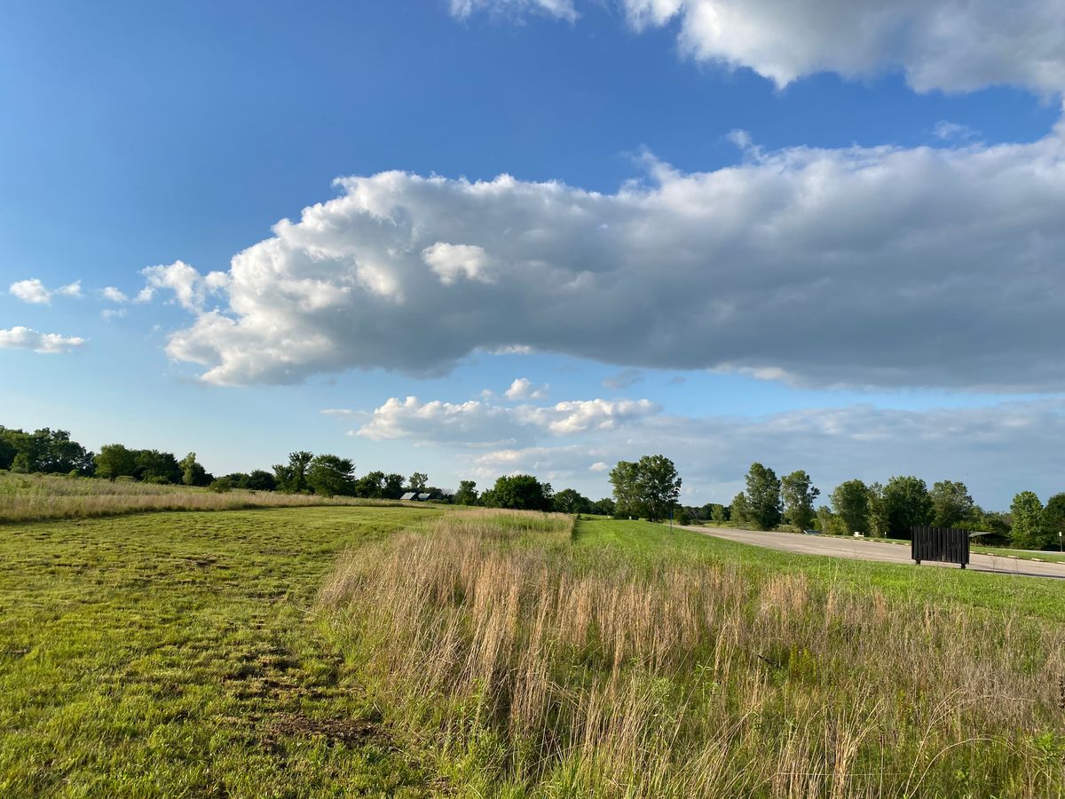 Hole 5 fairway summer 2021
