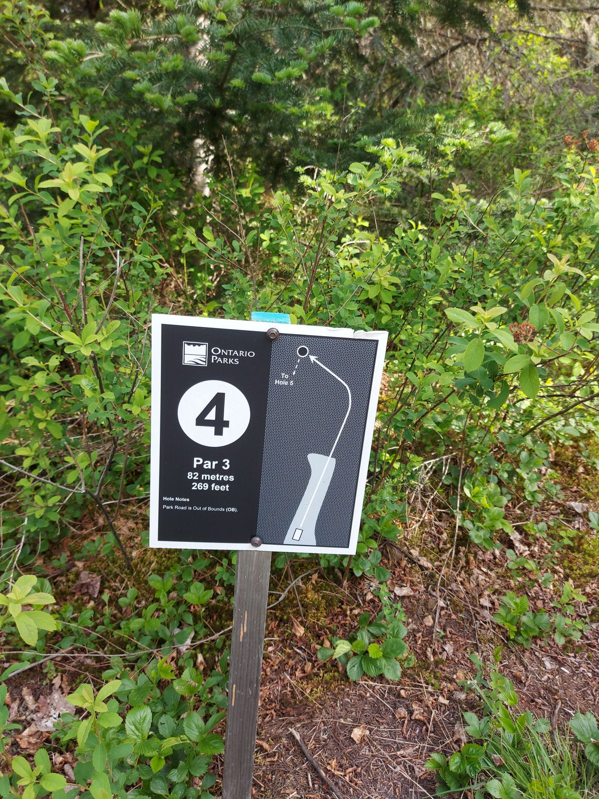 Hole sign 269 ft. 🍁🌲🍁🌲🍁🌲