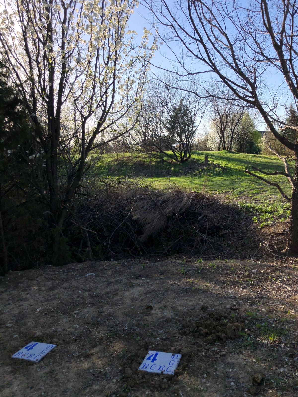 Hole 4 white tee