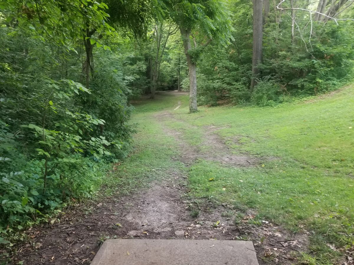 Hole 15 from tee