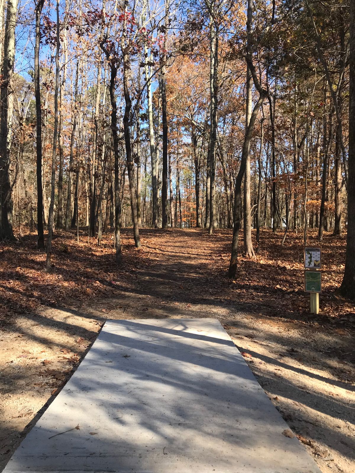 Hole 9 tee