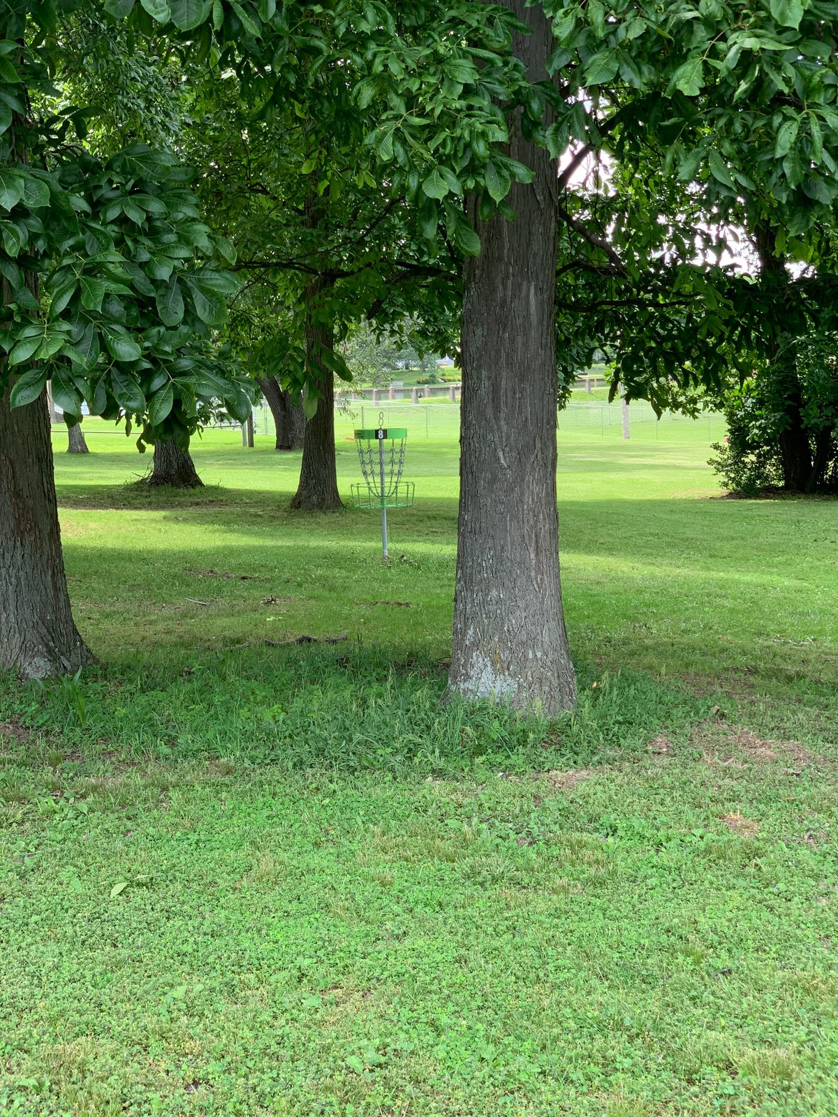 Hole 8 basket