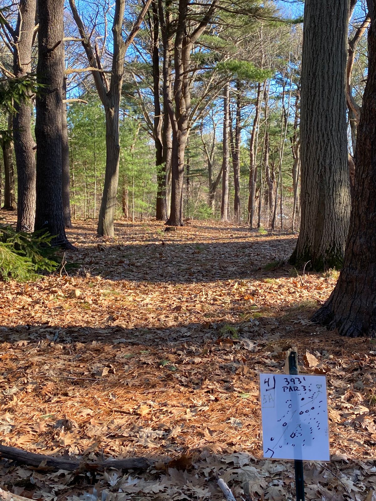 Hole 4, 393 feet.