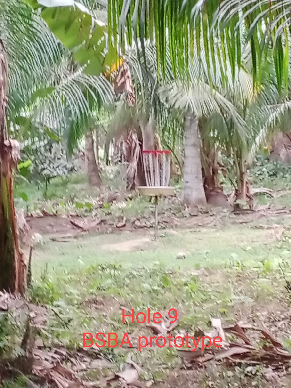 Basket to be phased out with upgraded Sapot basket.
