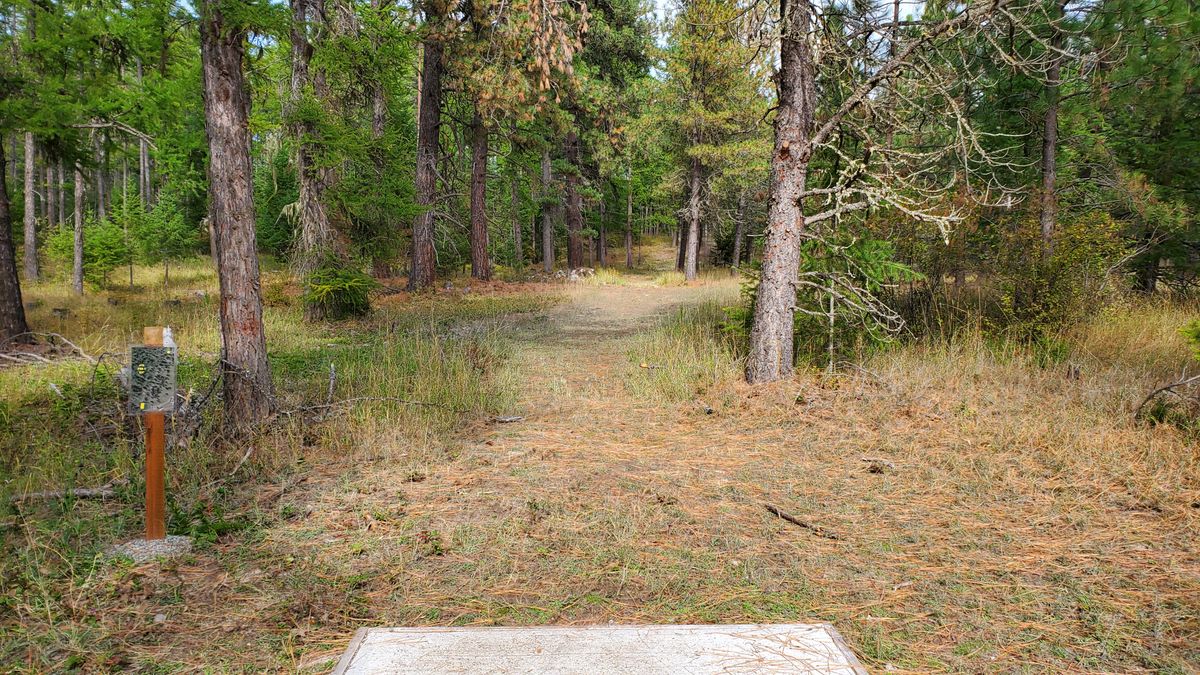 Tee pad hole 10