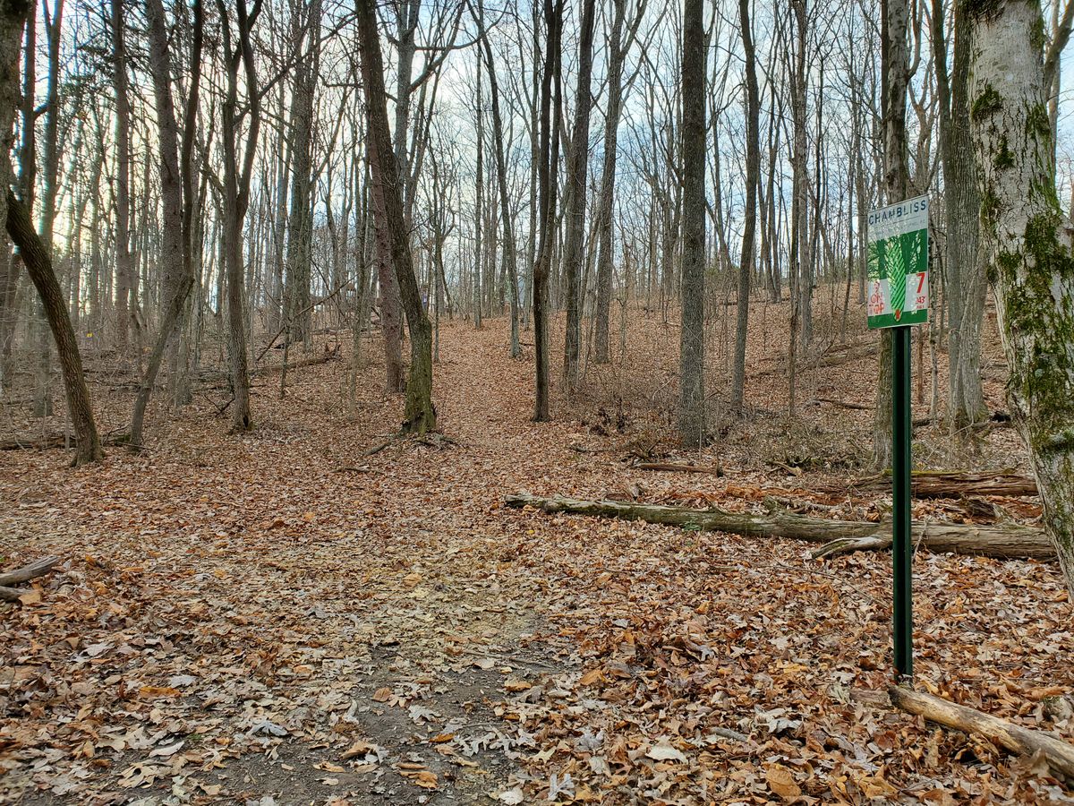 Hole 7 teepad & sign.