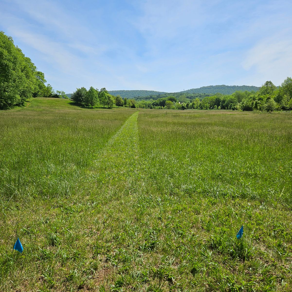 Hole 8
