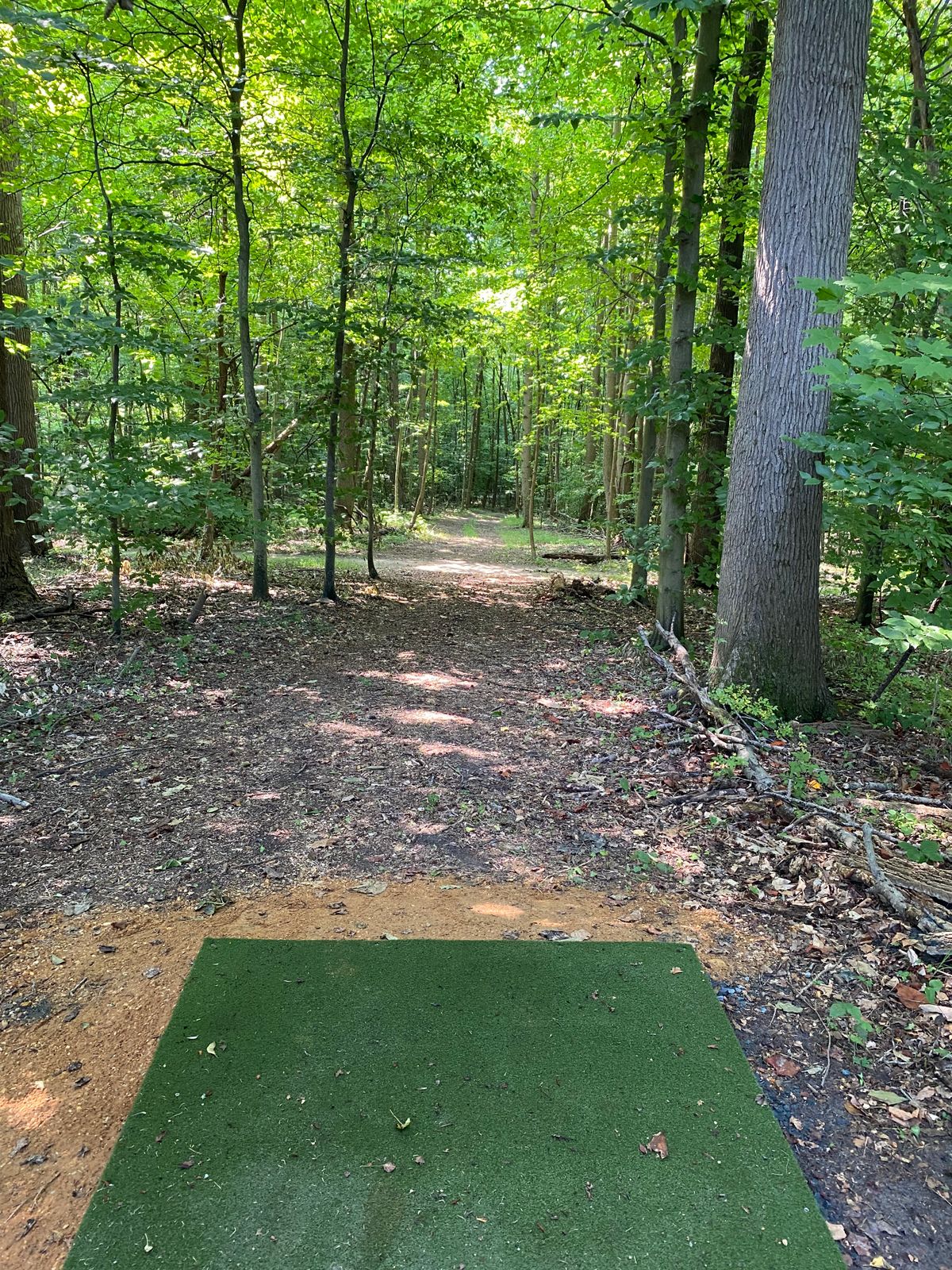Hole 3 Tee