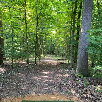 Hole 3 Tee