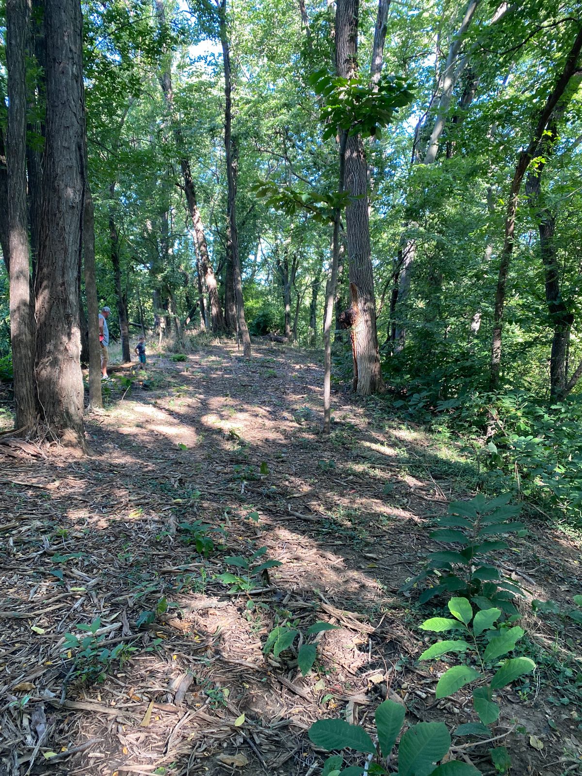 Hole 4 fairway.