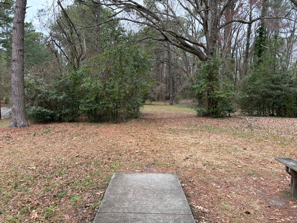 Hole 14 shorts