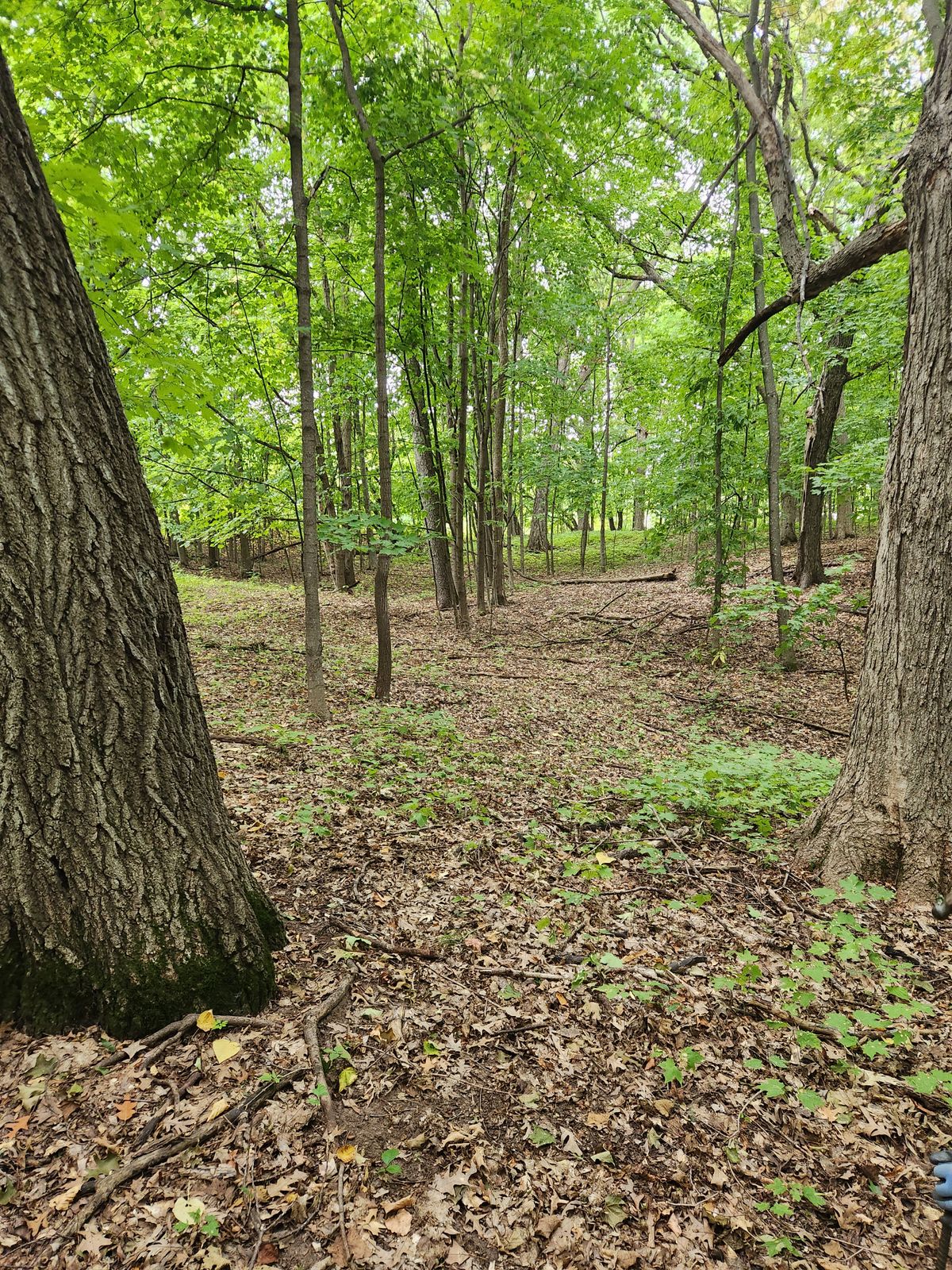 6th fairway