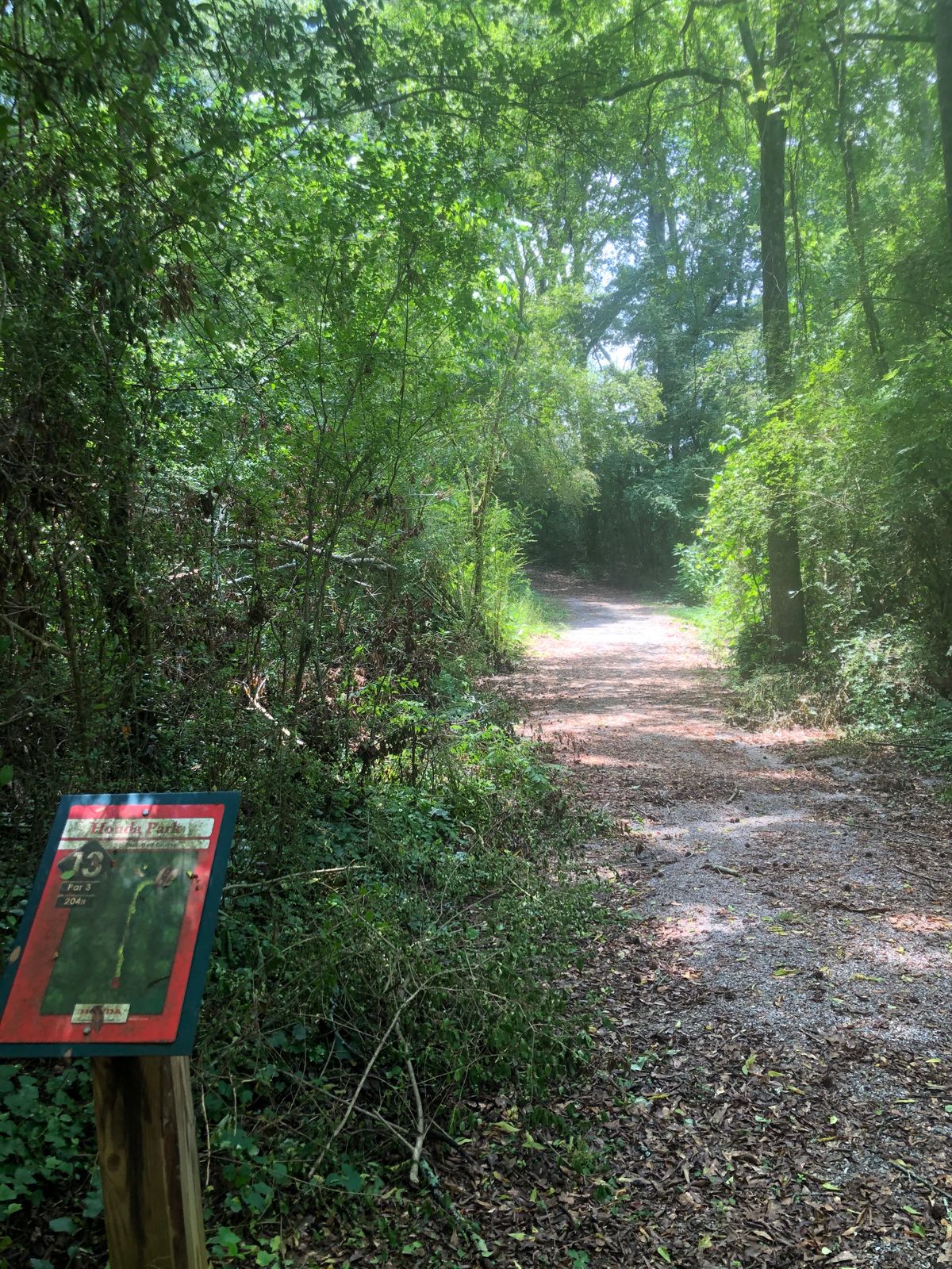 Hole 13