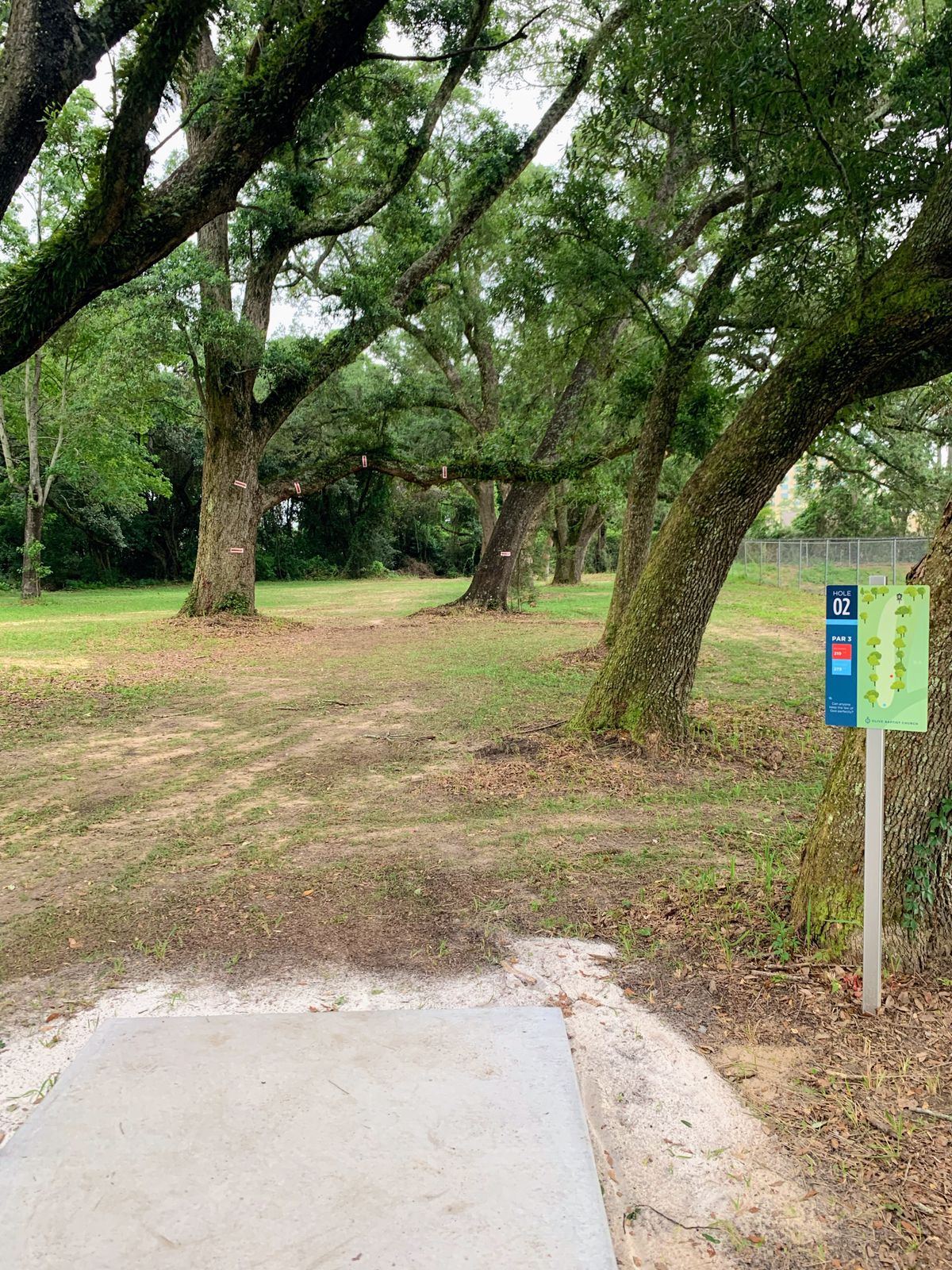Hole 2, par 3, 219 ft, AM tee