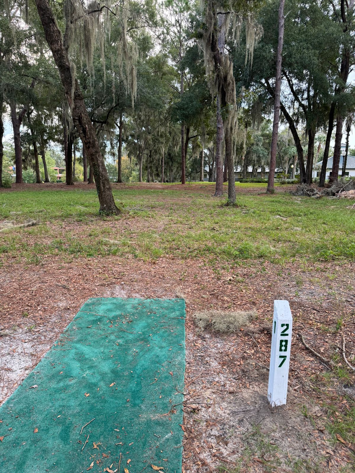 Surrounded by or beyond concrete is OB.  Surrounded by water in pond is OB.