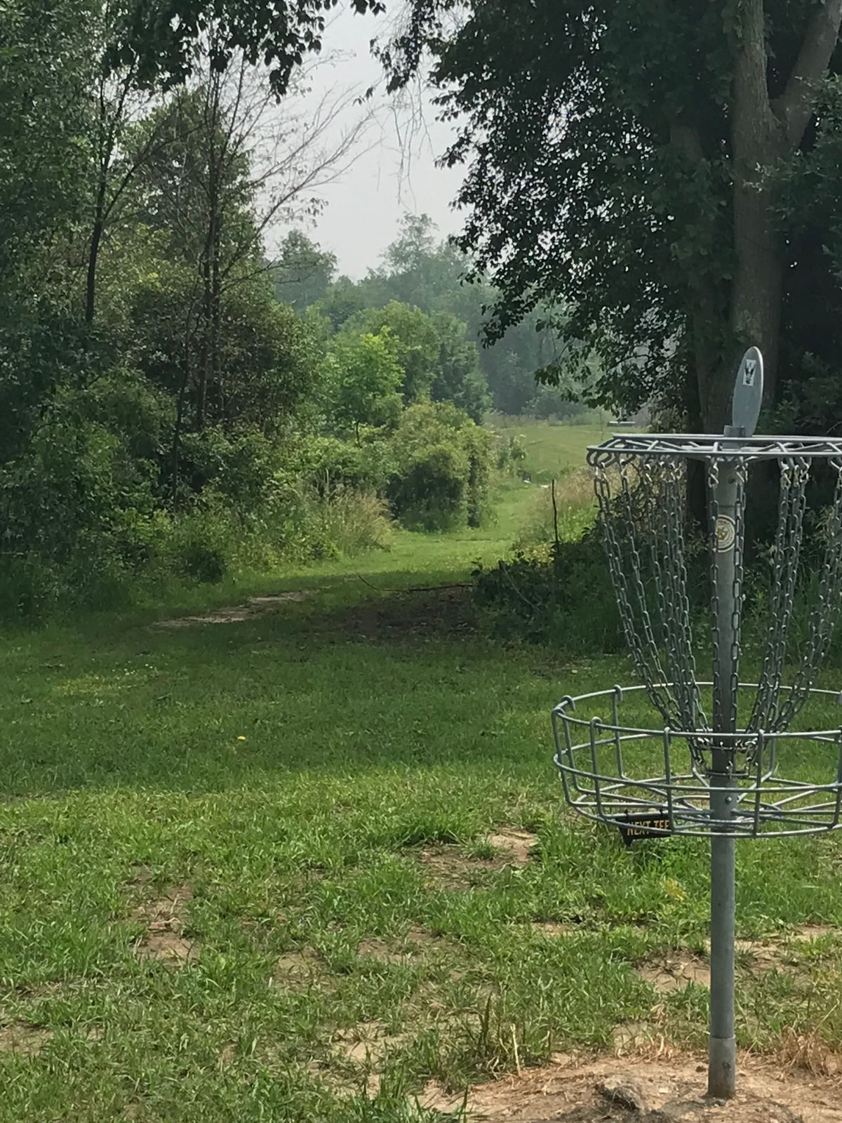 #8 look back to the tee