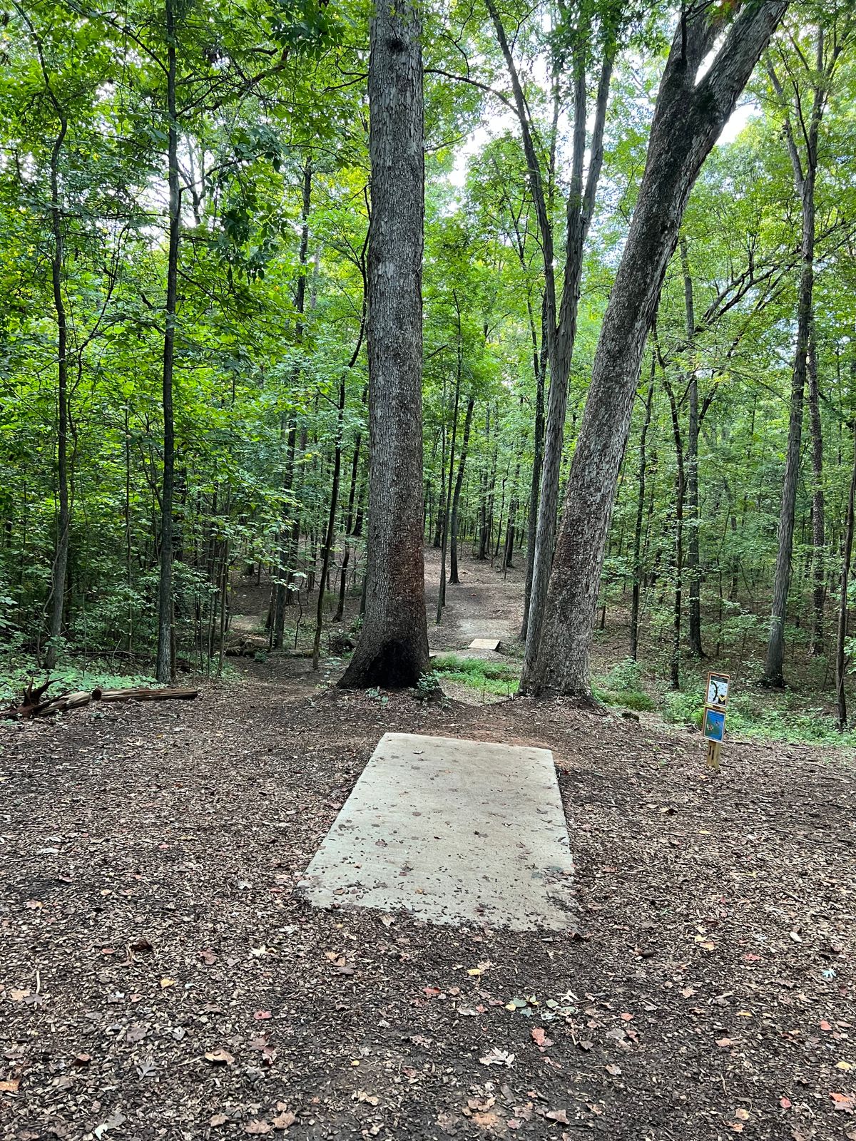 Hole 11
