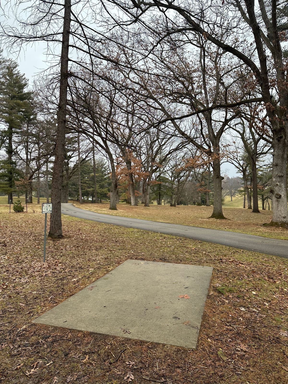 Hole #2 teepad