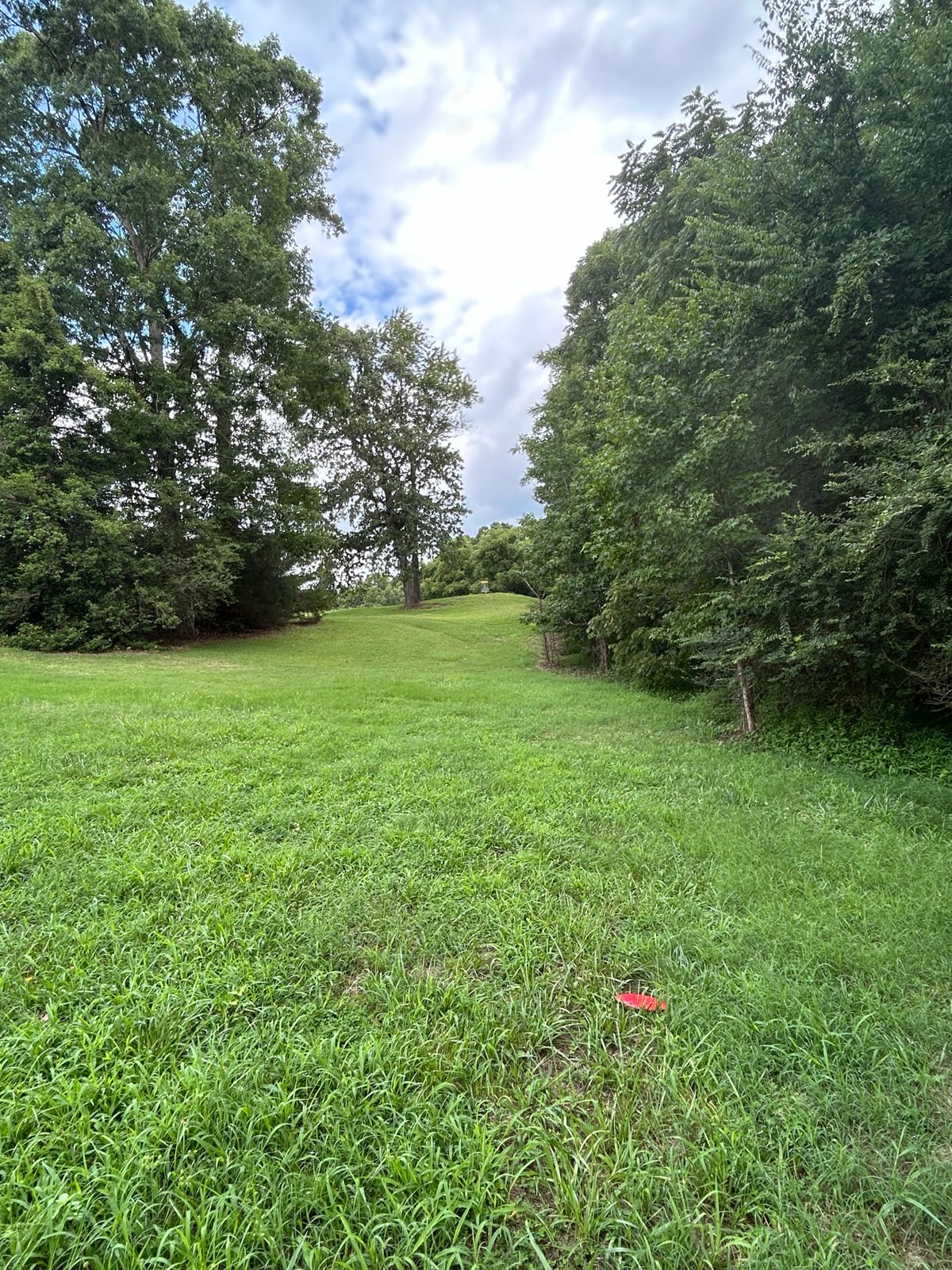 16 Landing Zone Looking Up at Basket