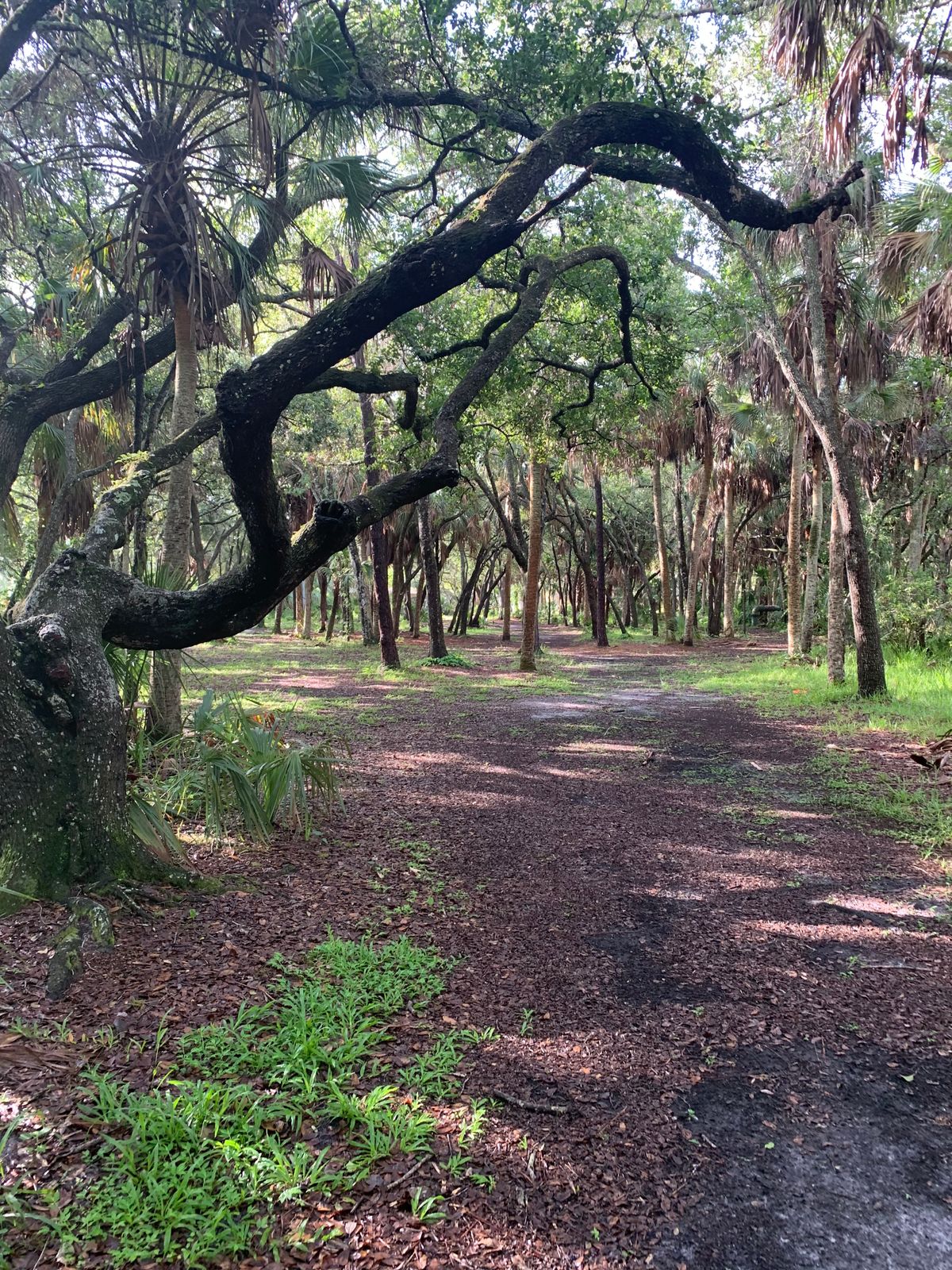 Hole 13?
