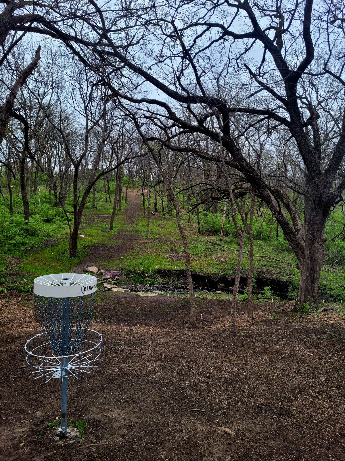 Hole 5 Basket to Fairway