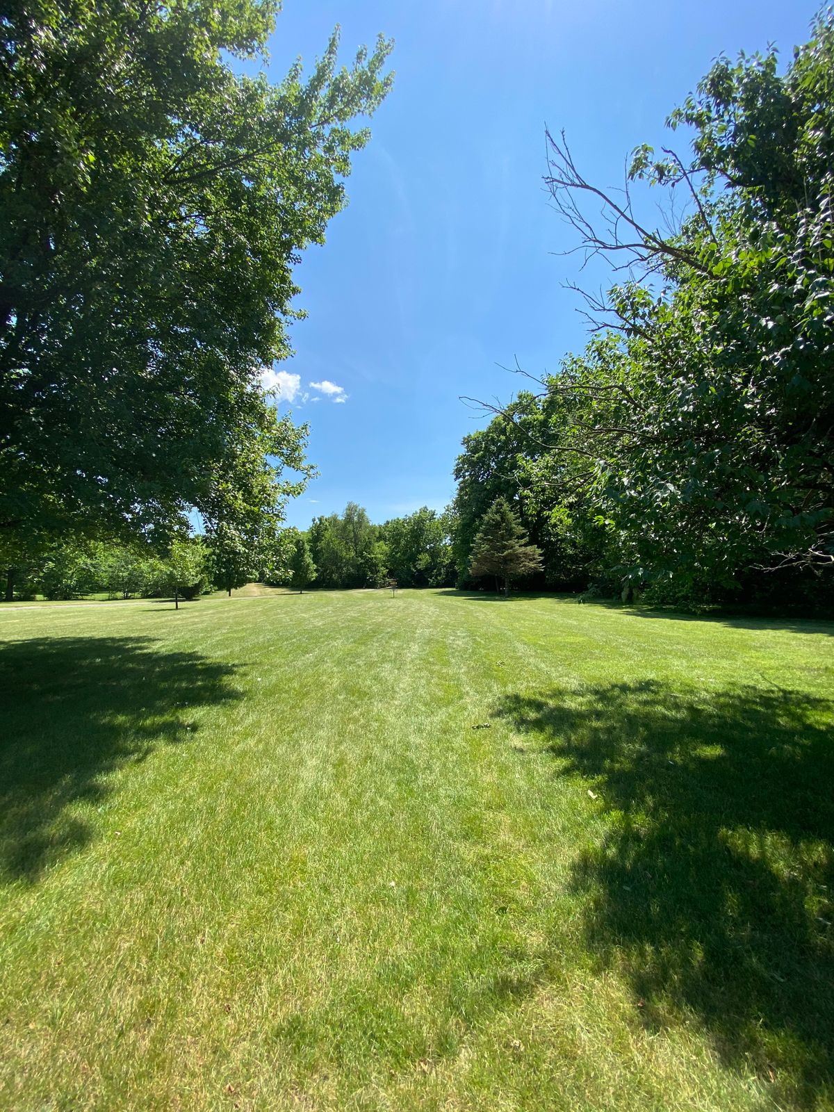 Hole 12 approach