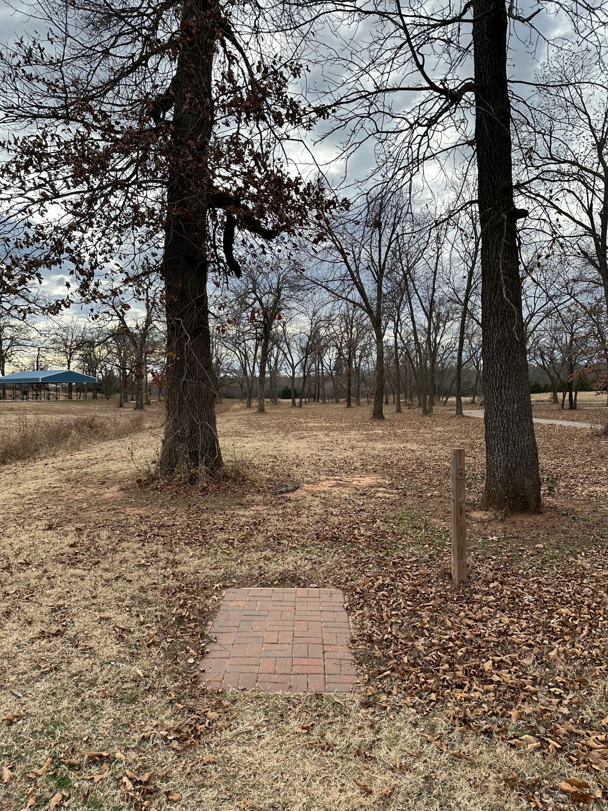 Hole 5 tee pad
