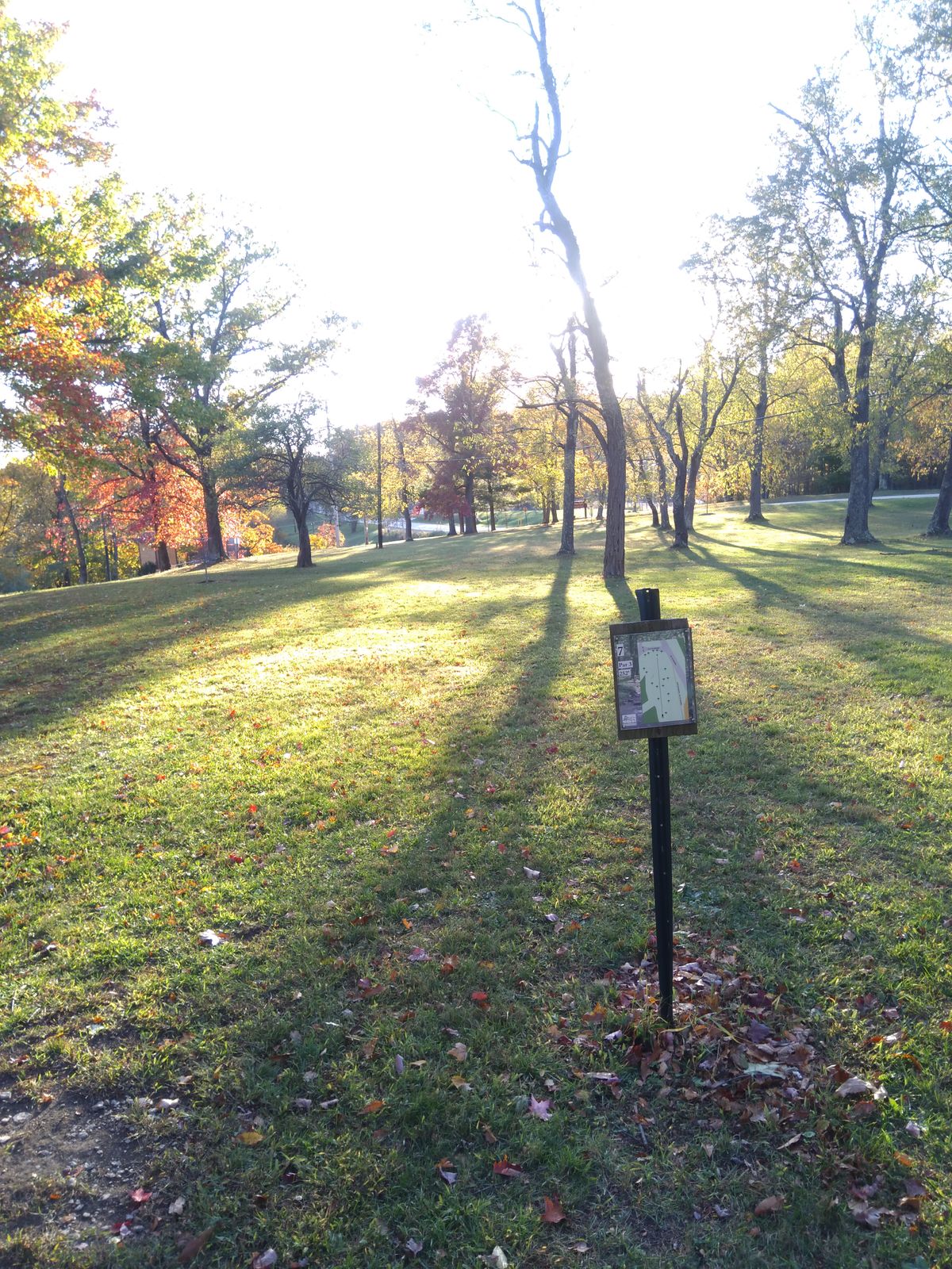 Hole #7 tee