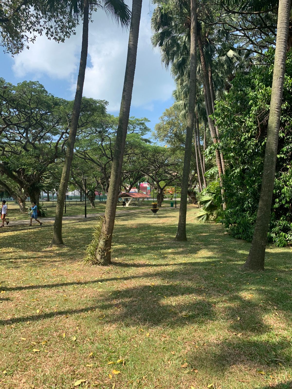 Hole 11 Basket