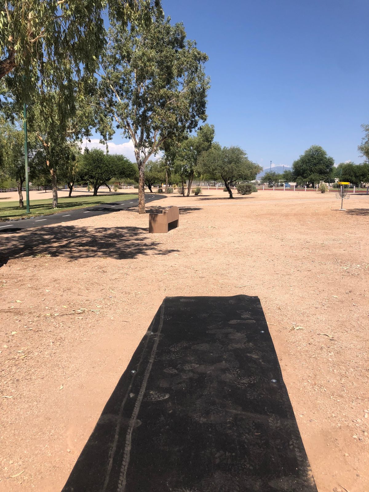 Hole 17:  Throwing east to basket in group of small trees by parking lot fence.
Mando Left of Parking Lot Fence.
Drop Zone: Whisker across street at T in the sidewalk.