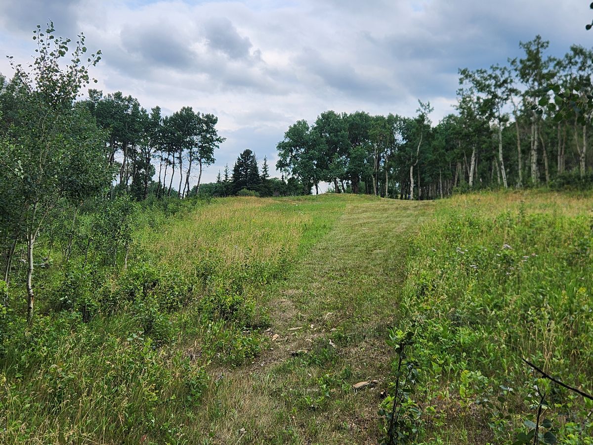 Hole 14