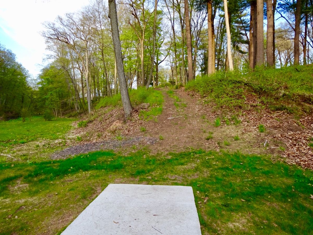 Hole 3B Tee
